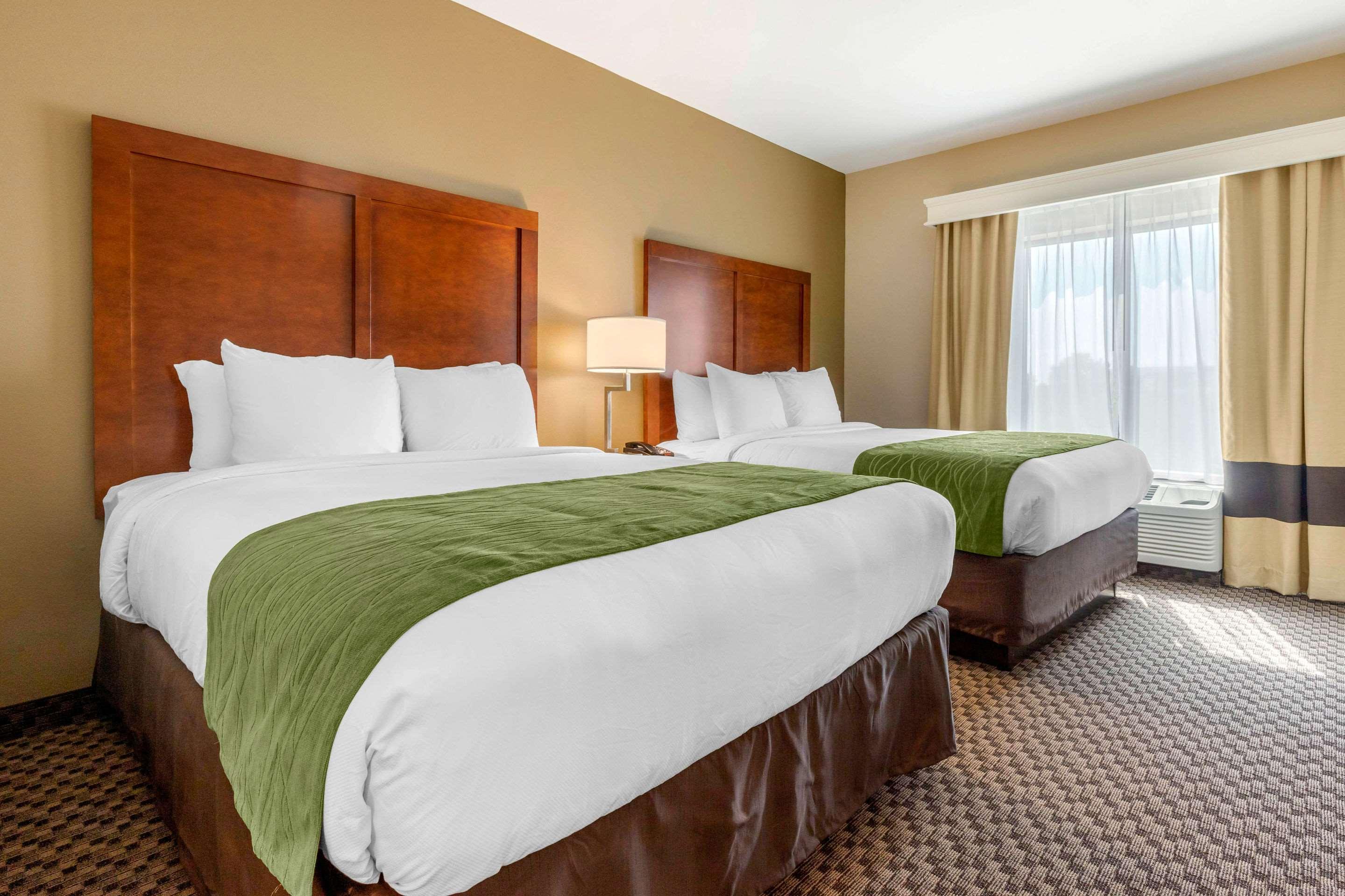 Comfort Inn & Suites Florence Kültér fotó