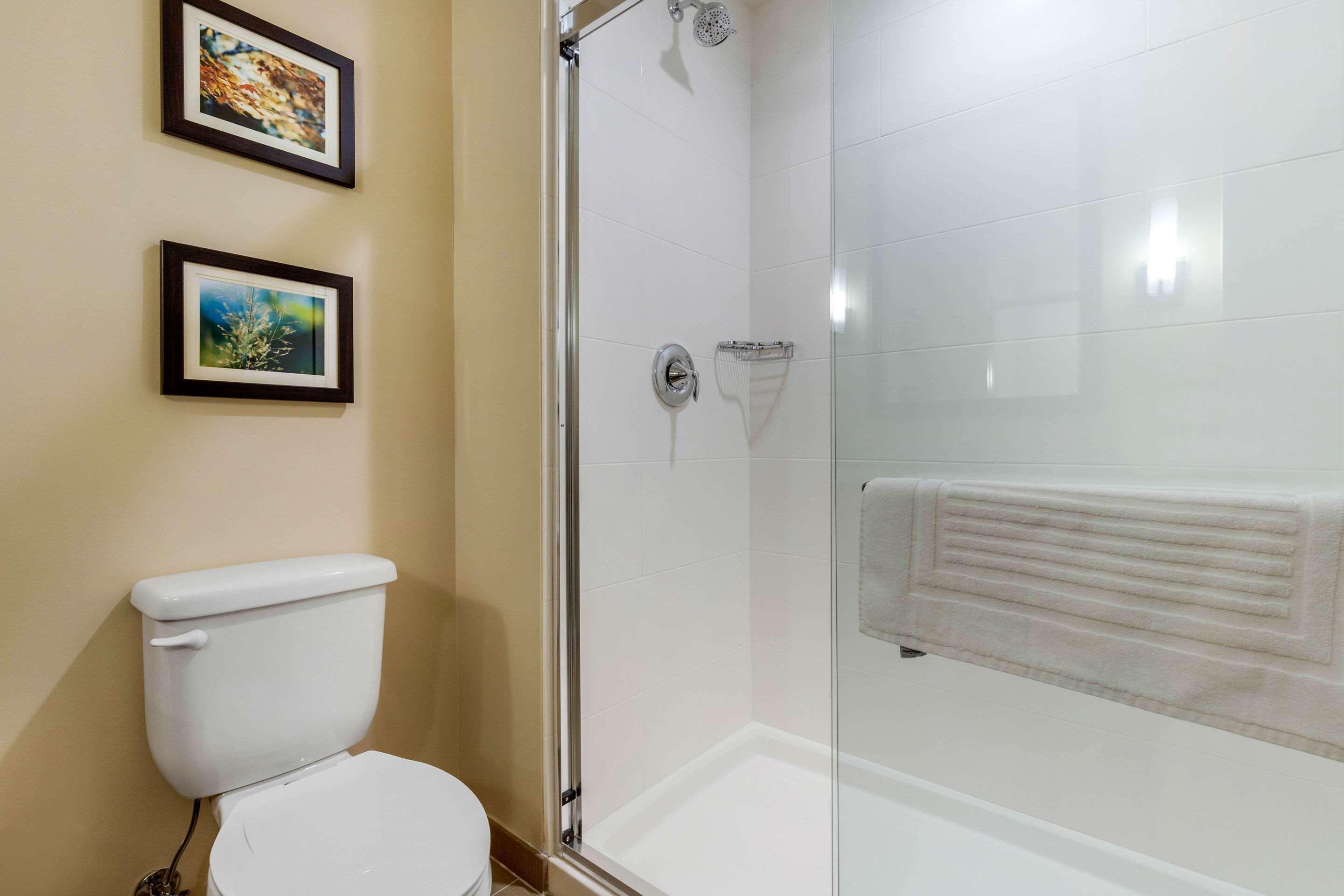 Comfort Inn & Suites Florence Kültér fotó