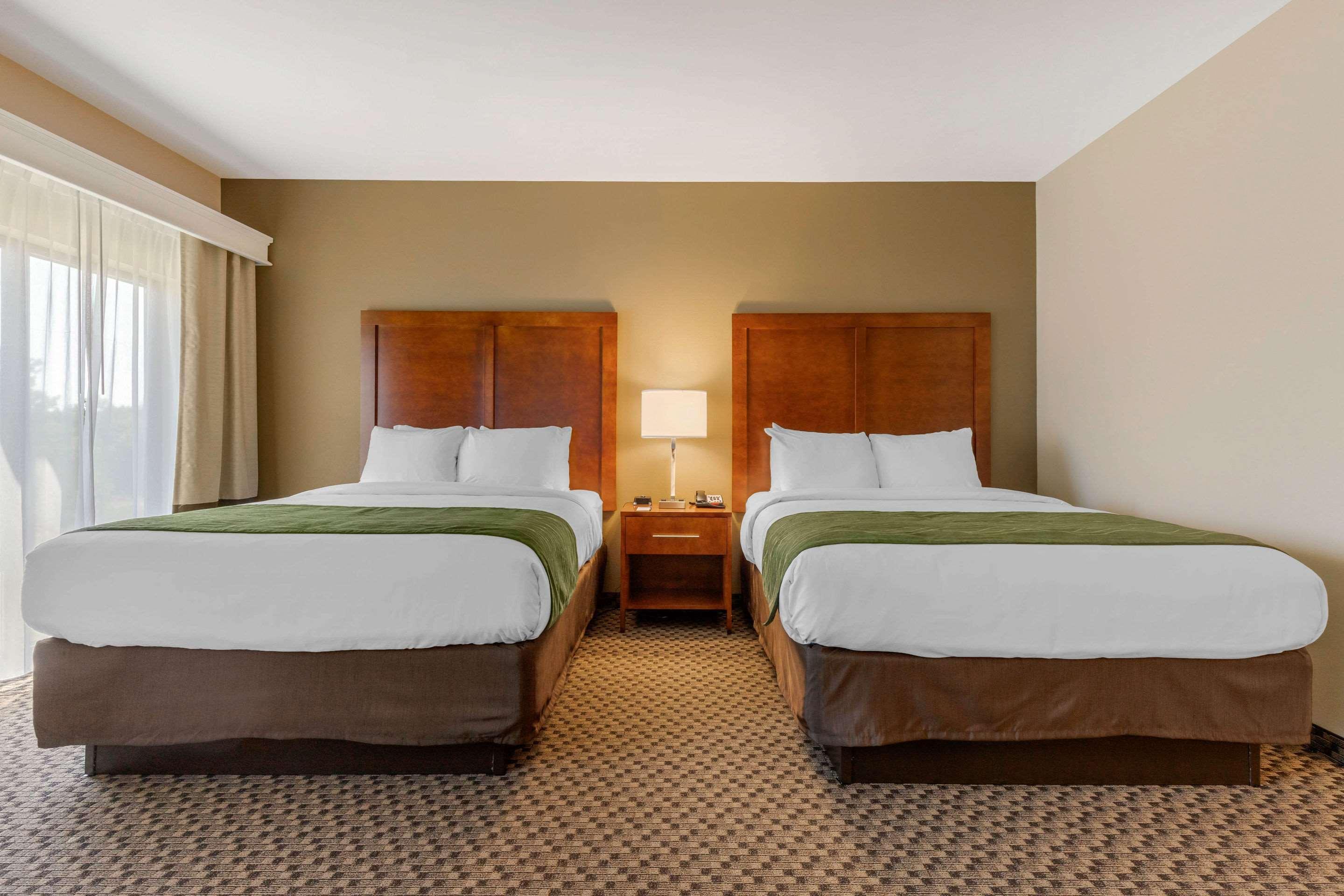 Comfort Inn & Suites Florence Kültér fotó